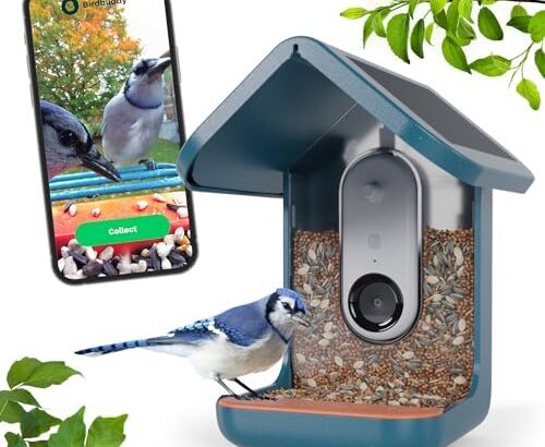 BIRD BUDDY® Original Smart Bird Feeder with Camera Solar Powered.